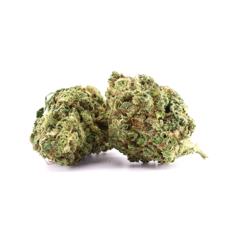 BANANA KUSH 16%
