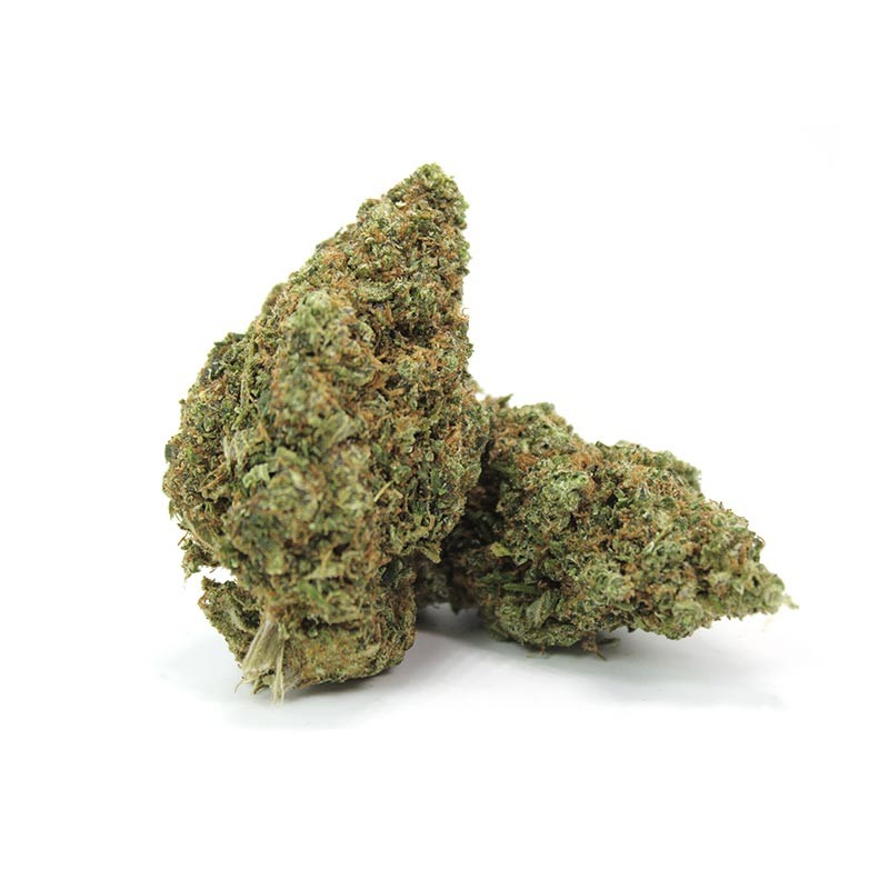 CRITICAL 40%