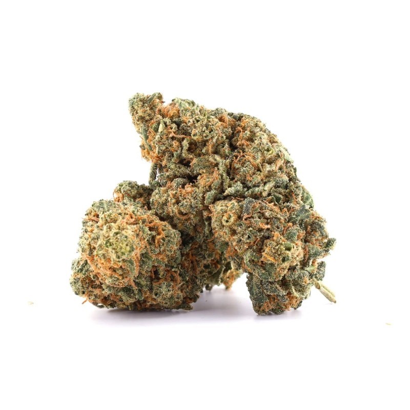 MASTER KUSH 40%