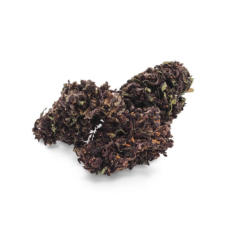 PURPLE JACK 14%